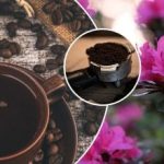 Ce adaugă grădinarii experimentați în sol după micul dejun