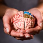 Fruct universal pentru sănătatea creierului, a inimii și a intestinelor