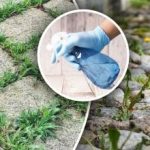 Nu va rămâne nici măcar o urmă: cum să eliminați