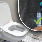 O modalitate rapidă de a curăța toaleta: ingenios de simplă