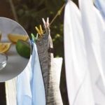 Rufele din mașina de spălat vor uimi prin curățenie: un