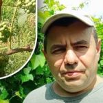 Secretul lunii august: un grădinar a spus cum să facă
