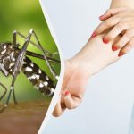 Țânțar periculos apărut în Ucraina: entomologul a spus ce boli