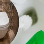 Vasul de toaletă se va curăța singur literalmente în fața