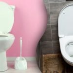 Vasul de toaletă strălucește în câteva minute: o modalitate foarte