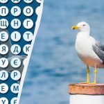 Doar cei mai ageri ochi vor găsi cuvântul „pescăruș” în