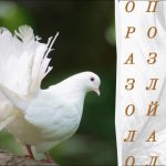 Numai persoanele cu ochi de vultur vor găsi cuvântul „pană”